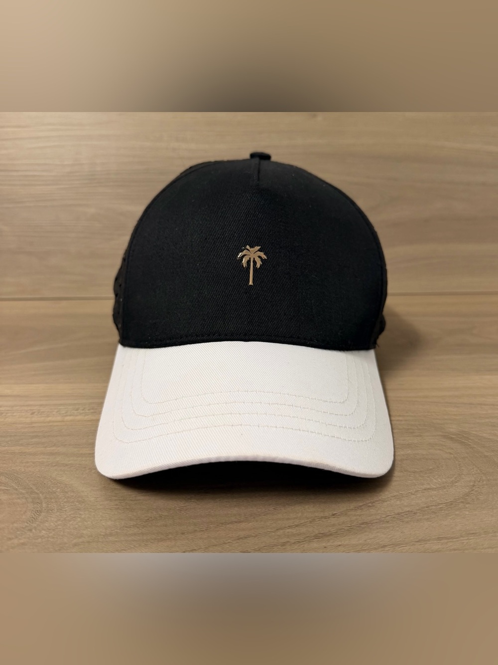 Alter Ego Running Coaster Royal Palm Logo Black White Hat Snapback Cap